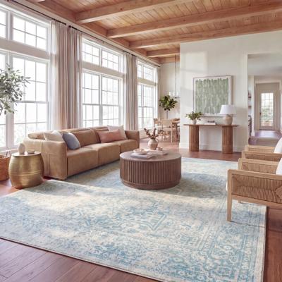 SAFAVIEH Evoke Quinn Vintage Distressed Rug