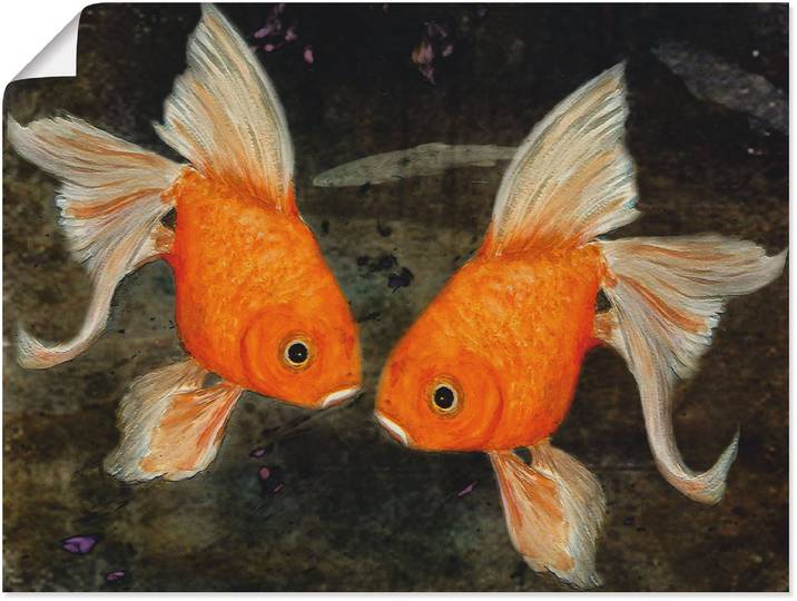 Poster ARTLAND Turtelfische , orange (farbe bild(er): orange), B:60cm H:45cm, Bilder, Poster, ohne Rahmen