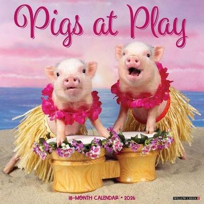 Pigs at Play 2026 Wall Calendar