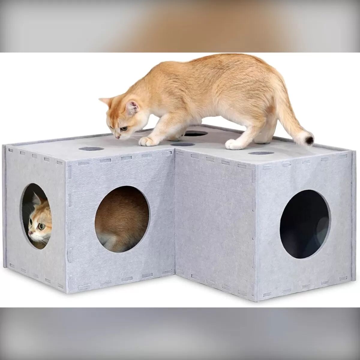 INF Tunnel Transformable en Feutre pour Chat : Jeu Interactif, Repos & Griffoir