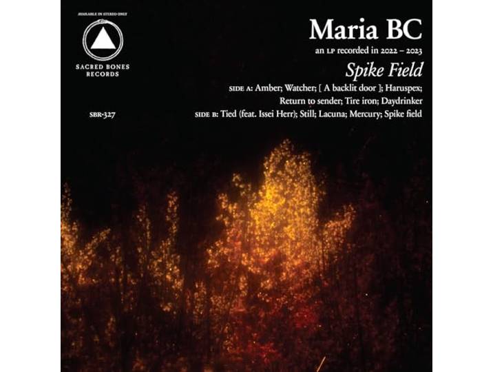 Spike Field (Red)
