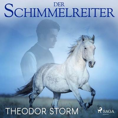Der Schimmelreiter - Theodor Storm, Audio, 9788726567601