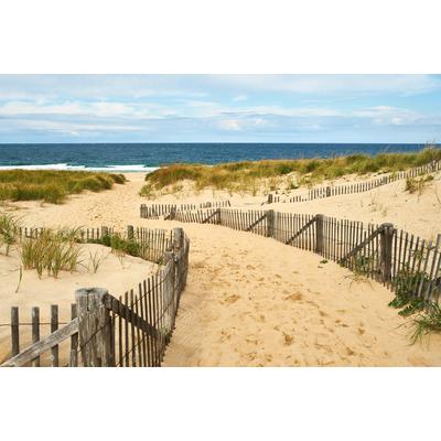 Fototapete PAPERMOON "Cape Cod Dünen", bunt, B:3m L:2,23m, Vlies, Tapeten