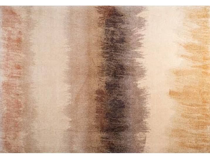 Wash+Dry Fußmatte, Bronze Bands 140x200cm, bunt