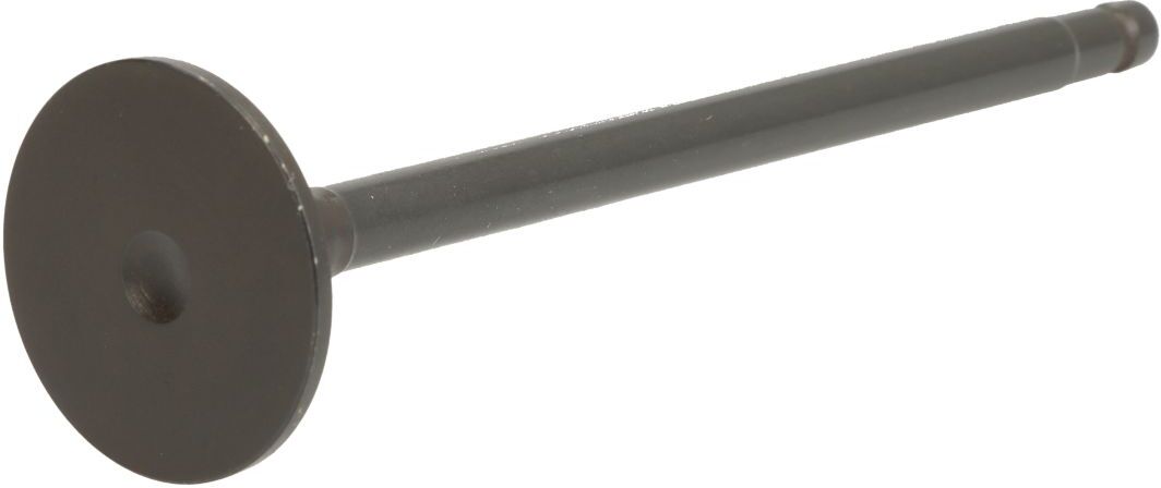 Einlassventil NE 147089000200