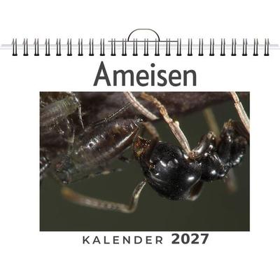 Ameisen