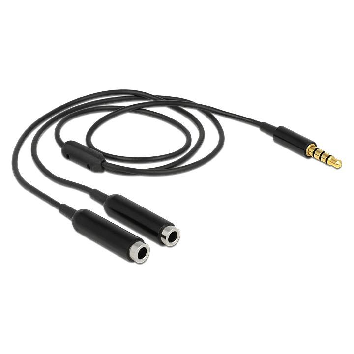 Delock 3.5 mm Klinke - 2 x 3.5 mm Buchse (0.25 m, 2.5mm Klinkenkabel) (65575)