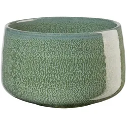 ASA Moribana Matcha Schale matsu shiny 12cm
