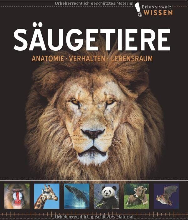 Erlebniswelt Wissen Säugetiere: Anatomie, Verhalten, Lebensräume. Ein Sachbuch für Kinder ab 10 Jahren - Preis vom 14.10.2026 23:07:16 h