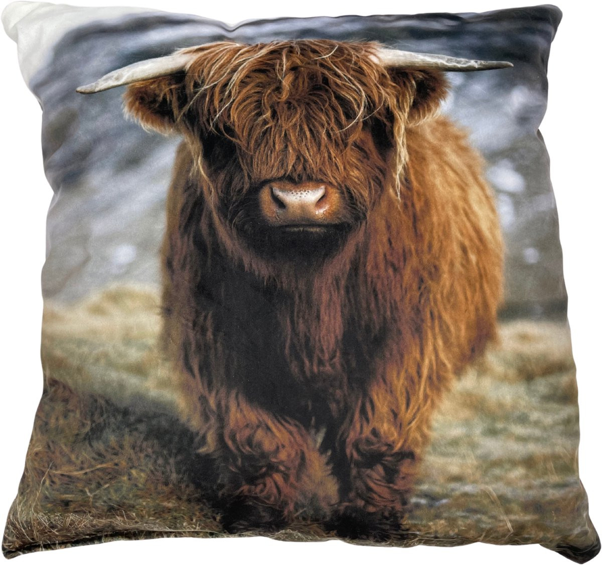 Home Sweet Home Decoratie sierkussen Schotse Hooglander bruin 40 x 40 cm