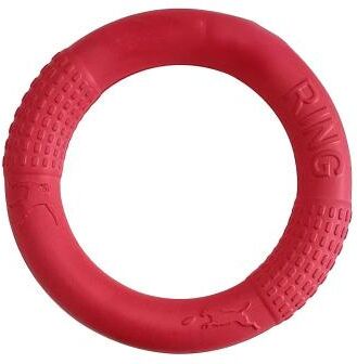 Inspired Living AquaTug EVA Dog Training Ring For Fetch, Tug & Water Play red 18cm