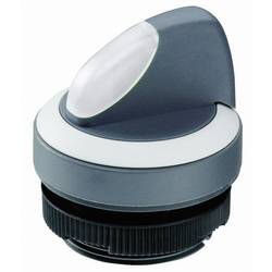 RAFI 1.30.272.102/2200 RAFIX 22 FS+ 1.30.272.102/2200 Wahltaste Schwarz 1 x 90 ° 1 St.