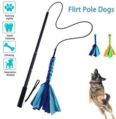 Inspired Living Extendable Flirt Pole Dog Toy Teaser Wand With Durable Rope Lure Extendable Flirt Pole Dog Toy Teaser Wand With Durable Rope Lure