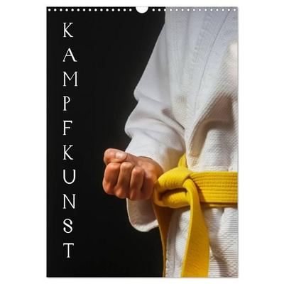 Kampfkunst (Wandkalender 2027 DIN A3 hoch), CALVENDO Monatskalender