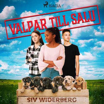 Valpar till salu - Siv Widerberg, Audio, 9788726300536