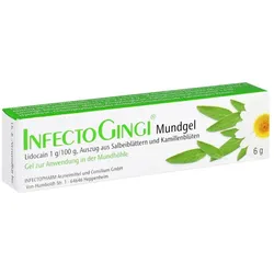 Infectogingi Mundgel 6 G