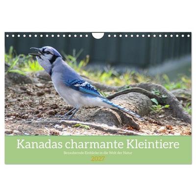 Kanadas charmante Kleintiere - Bezaubernde Einblicke in die Natur (Wandkalender 2027 DIN A4 quer), CALVENDO Monatskalender