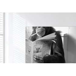 LEINWANDBILD Affe - WC - Zeitung - Schwarz-Weiß - Humor Wohnzimmer Groß 120x80 cm