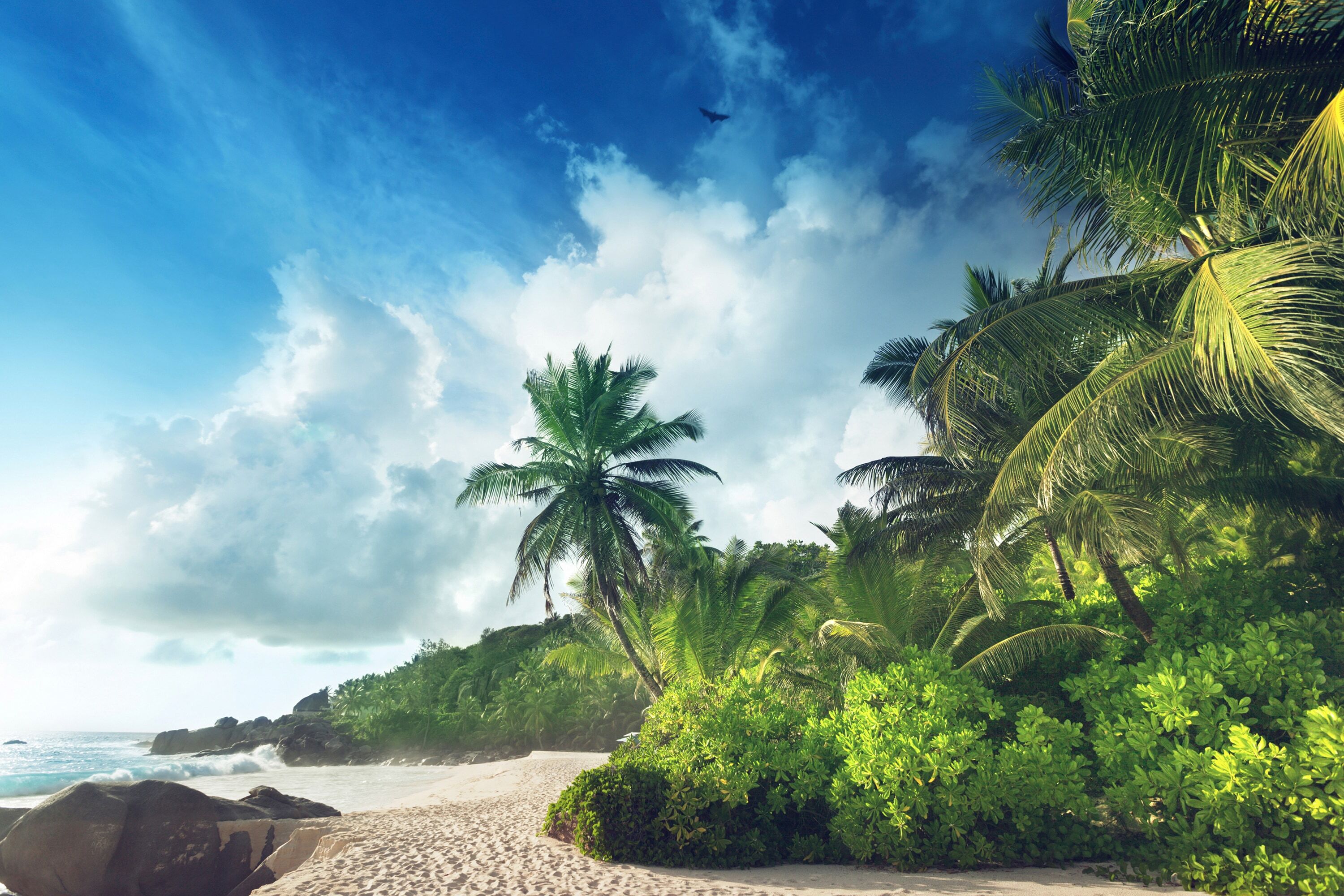 Fototapete PAPERMOON "PALMEN-STRAND-SEYCHELLEN TROPISCH INSEL AFRIKA KÜSTE", bunt, B:2,5m L:1,86m, Vlies, Tapeten, Fototapete bunt B/L: 2,5m x 1,86m, Bahnen: 5 Stk.