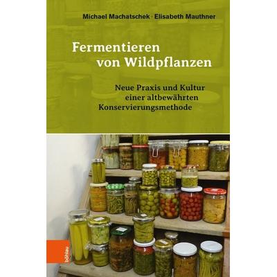 Fermentieren von Wildpflanzen, Gebundene Ausgabe von Michael Machatschek,Elisabeth Mauthner, Böhlau Verlag, 978-3-205-23157-8