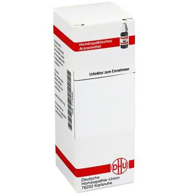 Ruta Urtinktur 20 ml Dilution