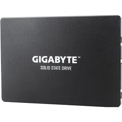 Gigabyte GP-GSTFS31100TNTD (1000 GB, 2.5"), SSD