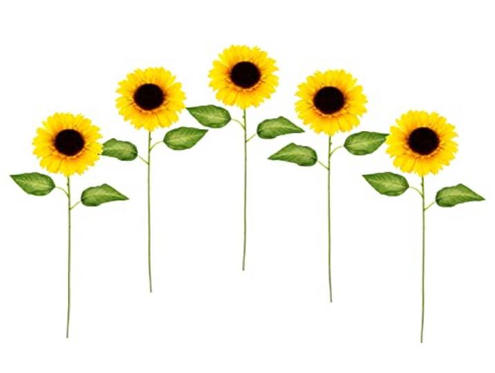 Kunstzonnebloemen, 5-delige set, enkele bloem, steelbloem, enkele tak, enkele steel, herfsttak, herfstbloemen, herfstdecoratie, herfstdecoratie, kunstbloemen, herfstbloemen, zijden bloemen, takken