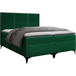 BOXBETT Fava - H3