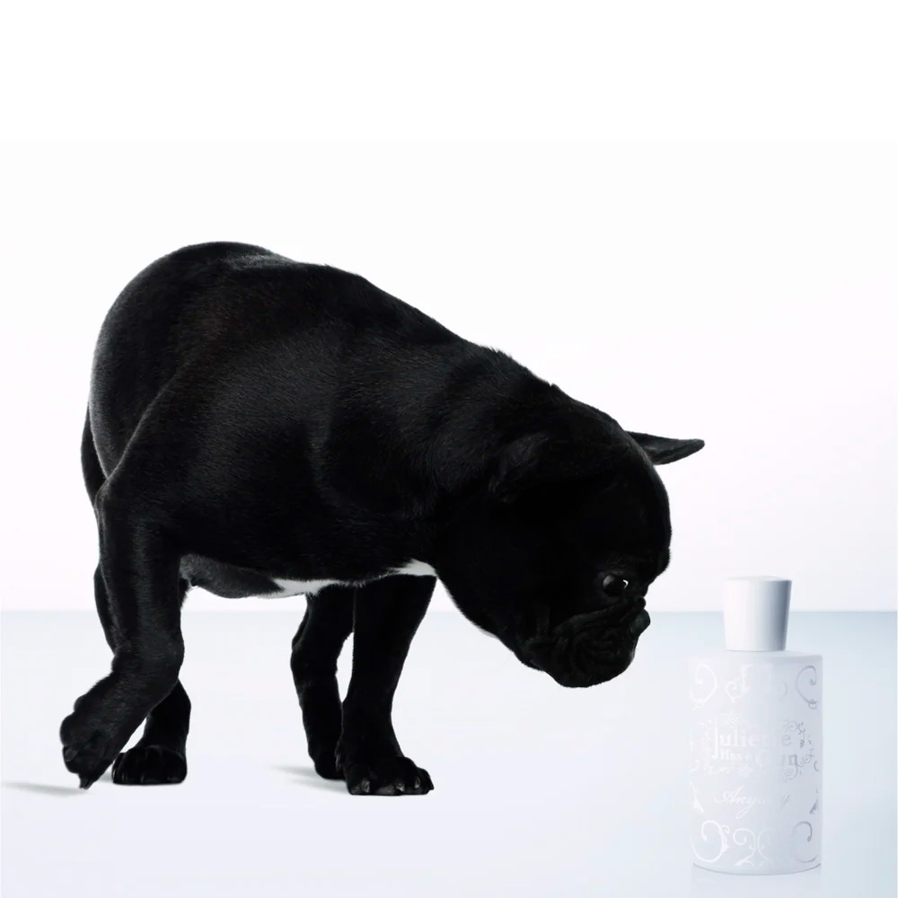 Juliette has a gun Anyway Eau de Parfum 100mL