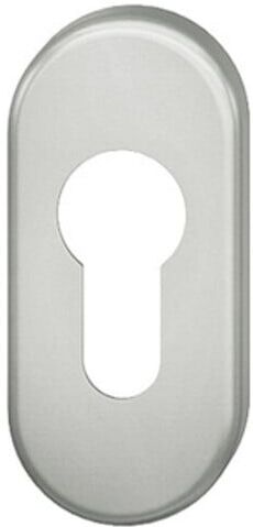 FSB Rosace de clé PT, PZ, 0 17 1757, ovale, alu F1 (0 17 1757 00010 0105)