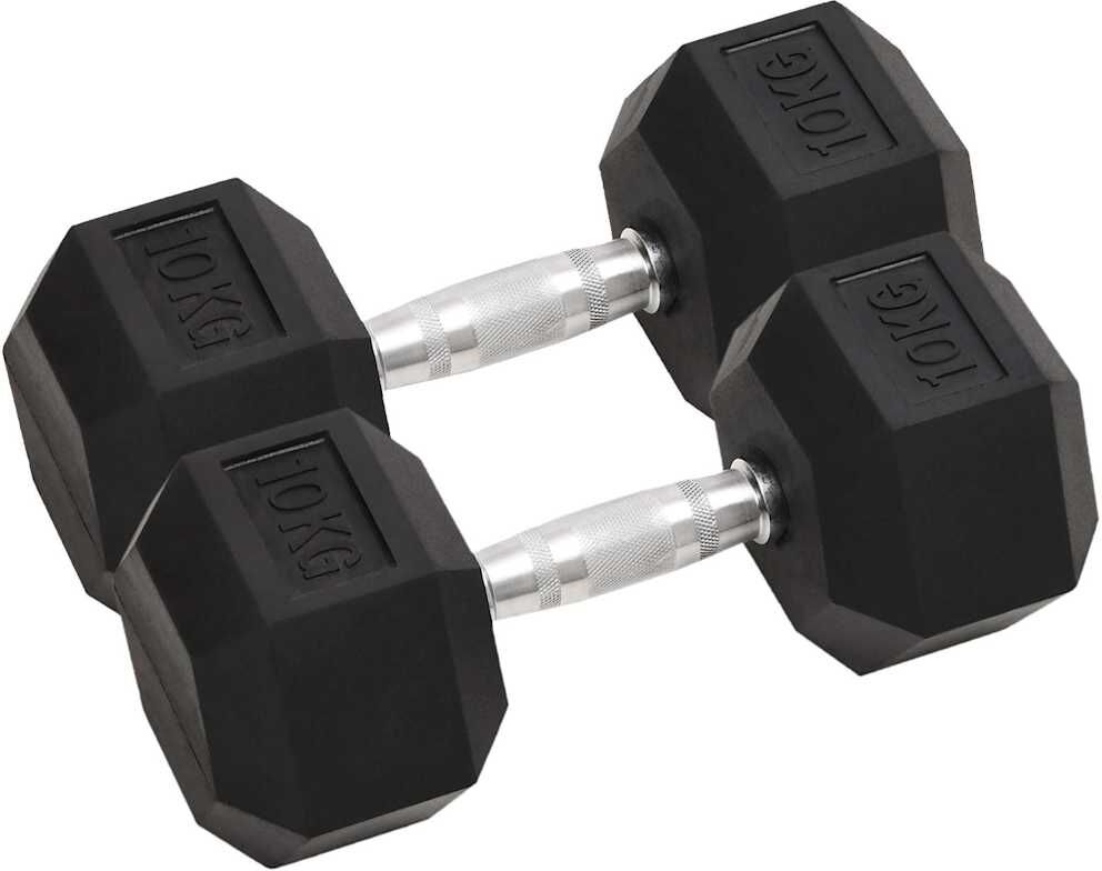 vidaXL Haltères 2 pcs 10 kg Total Fonte
