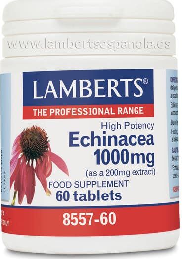 Lamberts Echinacea 60 comp
