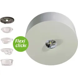 RP-Technik Sicherheitsleuchte ILDL029ML