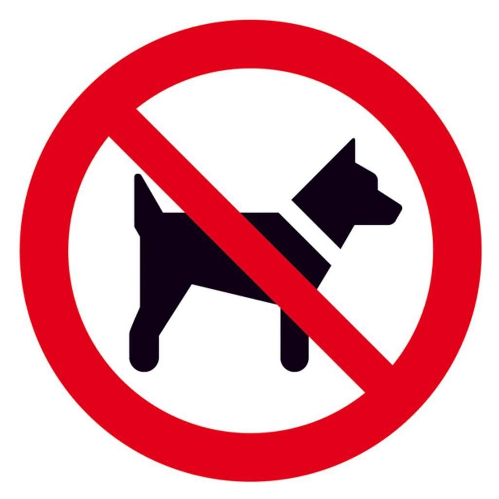 SafetyMarking Verbotsschild Mitführen von Hunden verboten (11.0999)