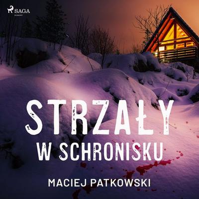 Strzały w schronisku - Maciej Patkowski, Audio, 9788728118276