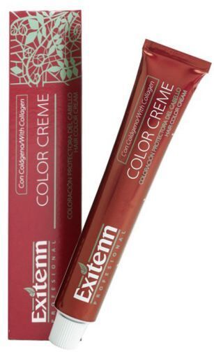 Exitenn Professional Farbe Creme Ash 5.1