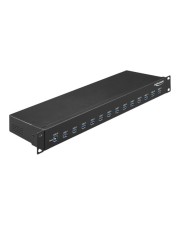 Delock 19'' Industrie Hub 13 x USB 3.0 Typ-A Digital/Daten (64039)