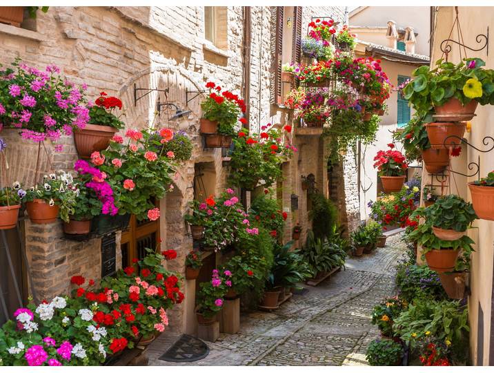 Fototapete PAPERMOON Flower Alley in Spello , bunt, B:2,5m L:1,86m, Vlies, Tapeten, Fototapete