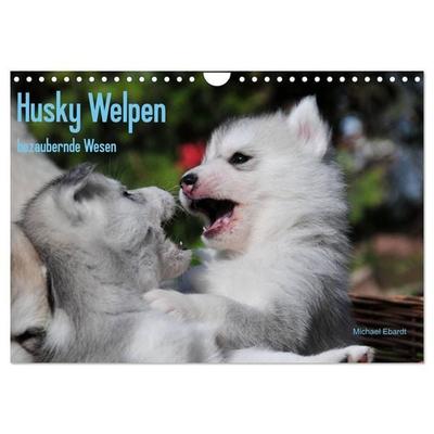 Husky Welpen (Wandkalender 2027 DIN A4 quer), CALVENDO Monatskalender