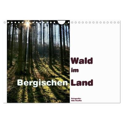 Wald im Bergischen Land 2027 (Wandkalender 2027 DIN A4 quer), CALVENDO Monatskalender