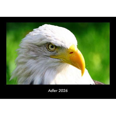 Adler 2026 Fotokalender DIN A3