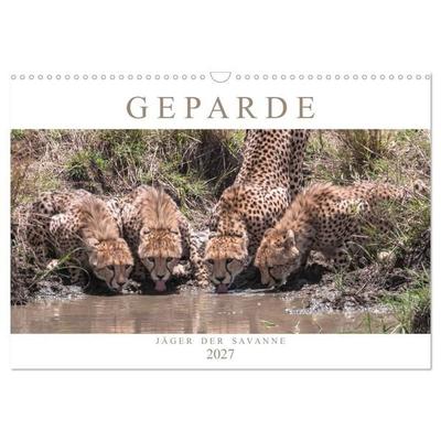 Geparde - Jäger der Savanne (Wandkalender 2027 DIN A3 quer), CALVENDO Monatskalender