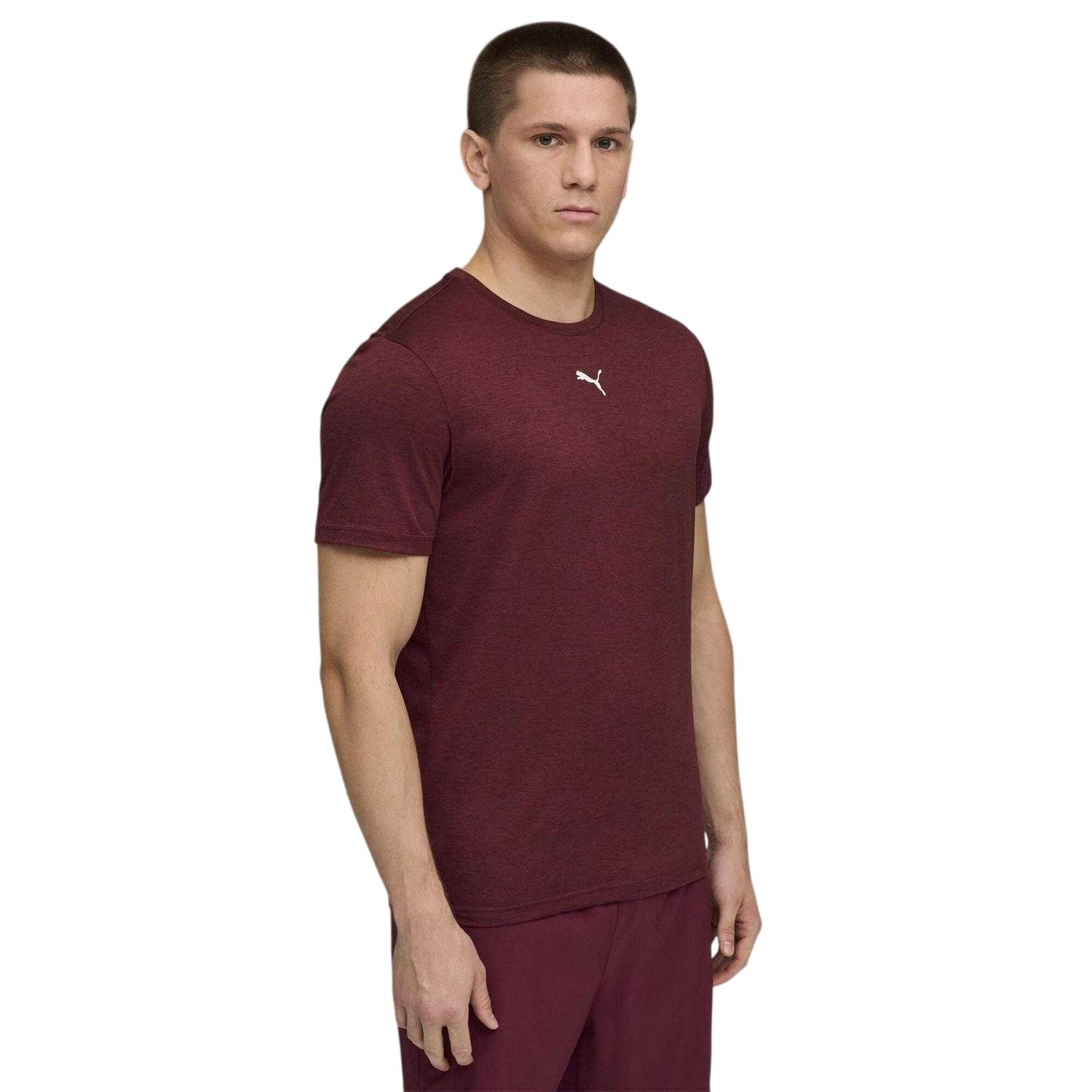 Puma Tad Performance-sport-T-shirt voor heren (Bourgondië)