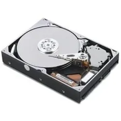 Lenovo 1TB 6Gbps NL 2,5" SAS SS SFF (1 TB, 2.5"), Festplatte