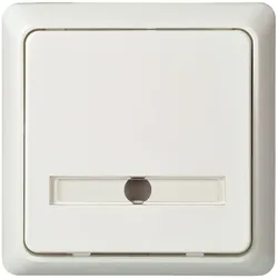 Elso Taster Aufbau beleuchtet 506334