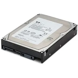 HPE DRV HD 300GB 2.5 10K 6G SAS (0.30 TB, 2.5"), Festplatte