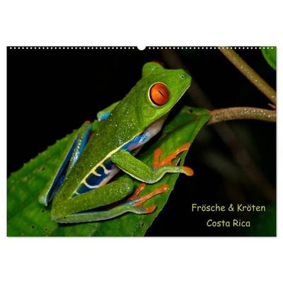 Frösche & Kröten Costa Rica (Wandkalender 2027 DIN A2 quer), CALVENDO Monatskalender