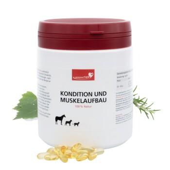 HerzensTier Kondition und Muskelaufbau 70 ml