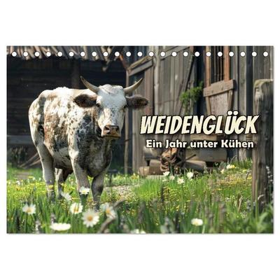 Weidenglück: Ein Jahr unter Kühen (Tischkalender 2027 DIN A5 quer), CALVENDO Monatskalender