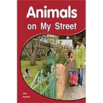 Animals on My Street, Taschenbuch von Rigby, Houghton Mifflin, 978-1-4189-4241-0